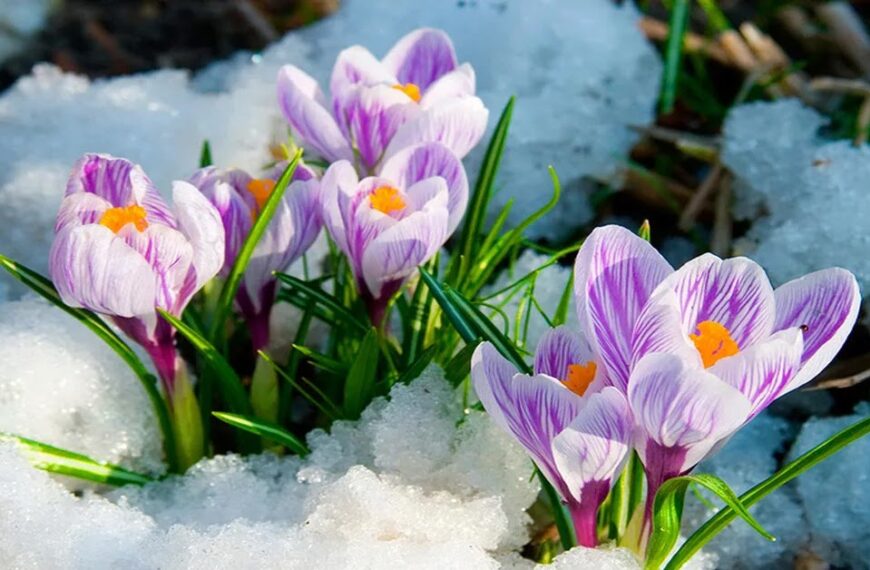 Սպասվում են տեղումներ