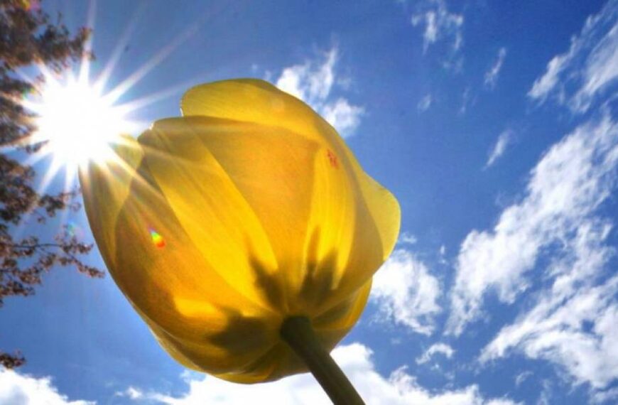 Օդի ջերմաստիճանը կբարձրանա