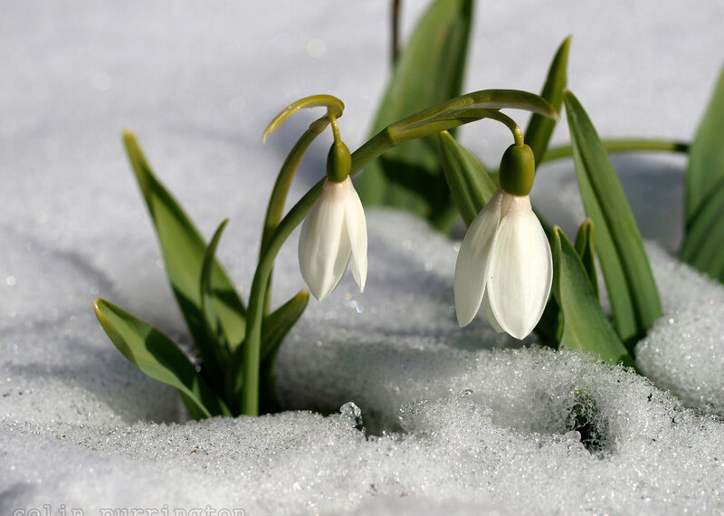 Օդի ջերմաստիճանը կնվազի